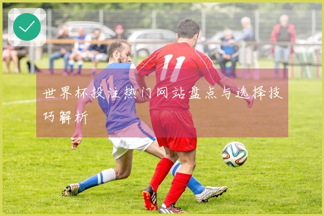 世界杯投注热门网站盘点与选择技巧解析