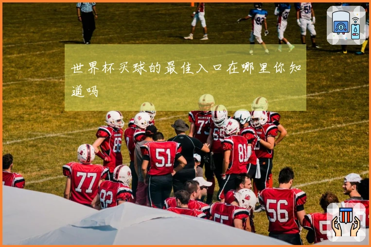 世界杯买球的最佳入口在哪里你知道吗