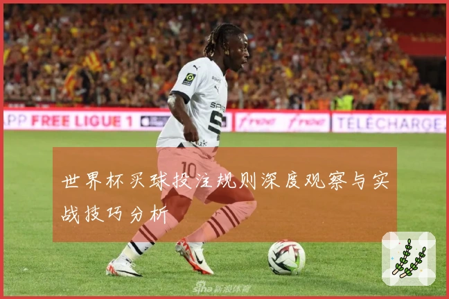 世界杯买球投注规则深度观察与实战技巧分析