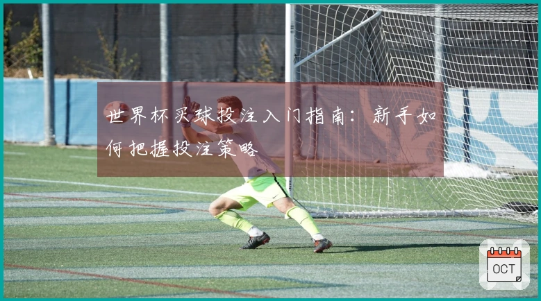 世界杯买球投注入门指南：新手如何把握投注策略
