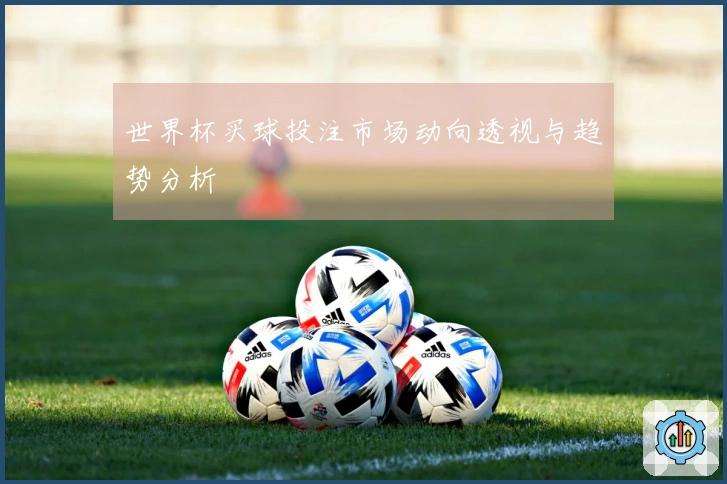 世界杯买球投注市场动向透视与趋势分析