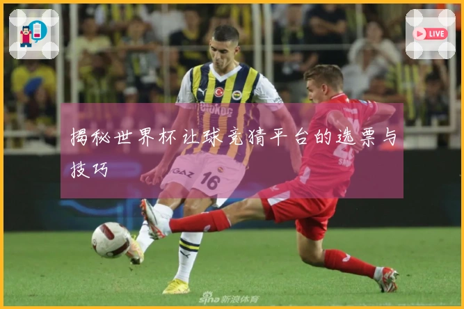 揭秘世界杯让球竞猜平台的选票与技巧