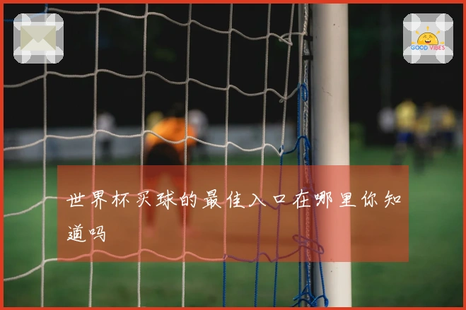 世界杯买球的最佳入口在哪里你知道吗